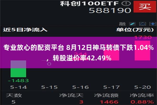 专业放心的配资平台 8月12日神马转债下跌1.04%，转股溢价率42.49%